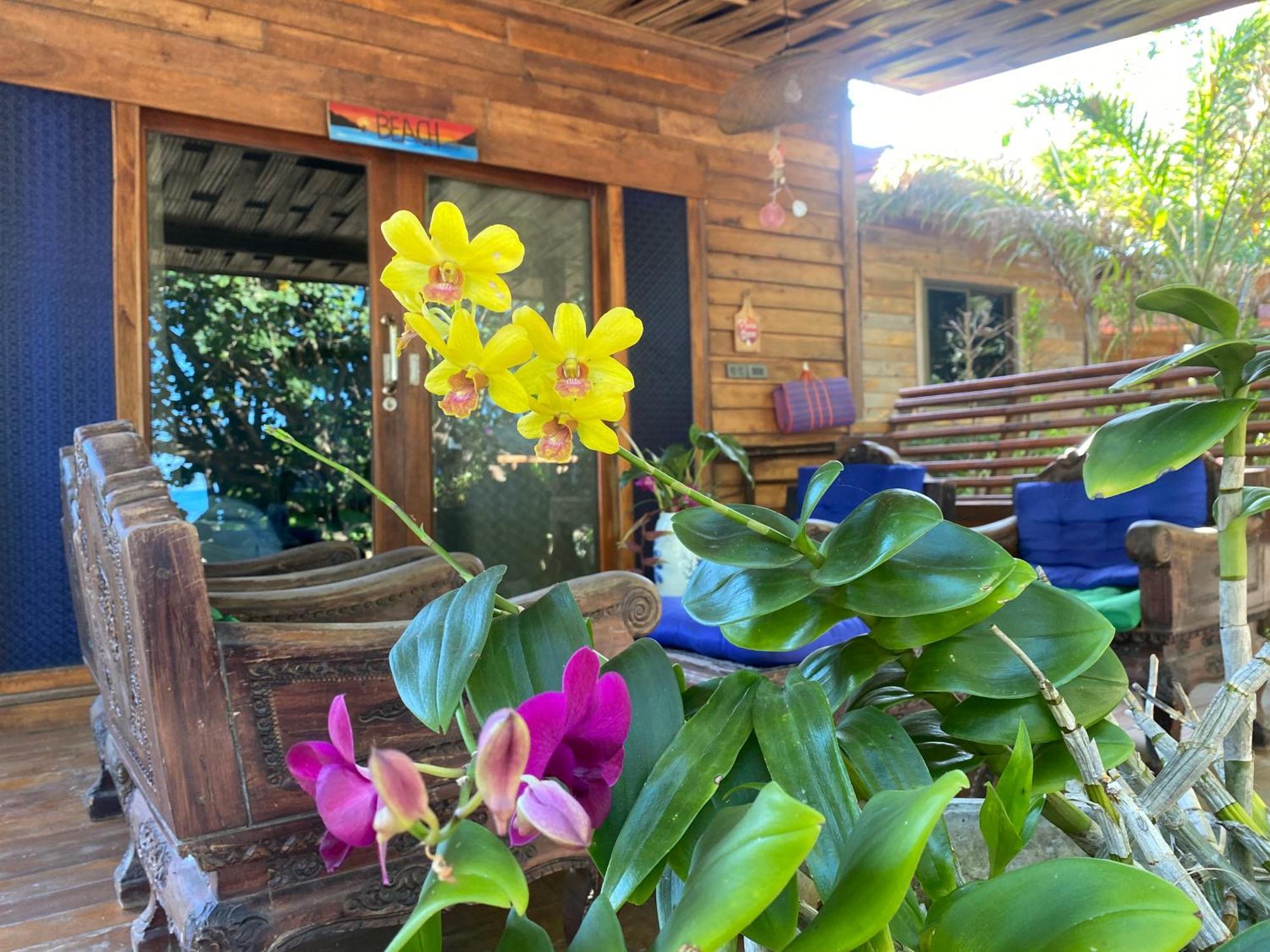 Coconut Lanta Resort @Klong Dow Beach Krabi town المظهر الخارجي الصورة