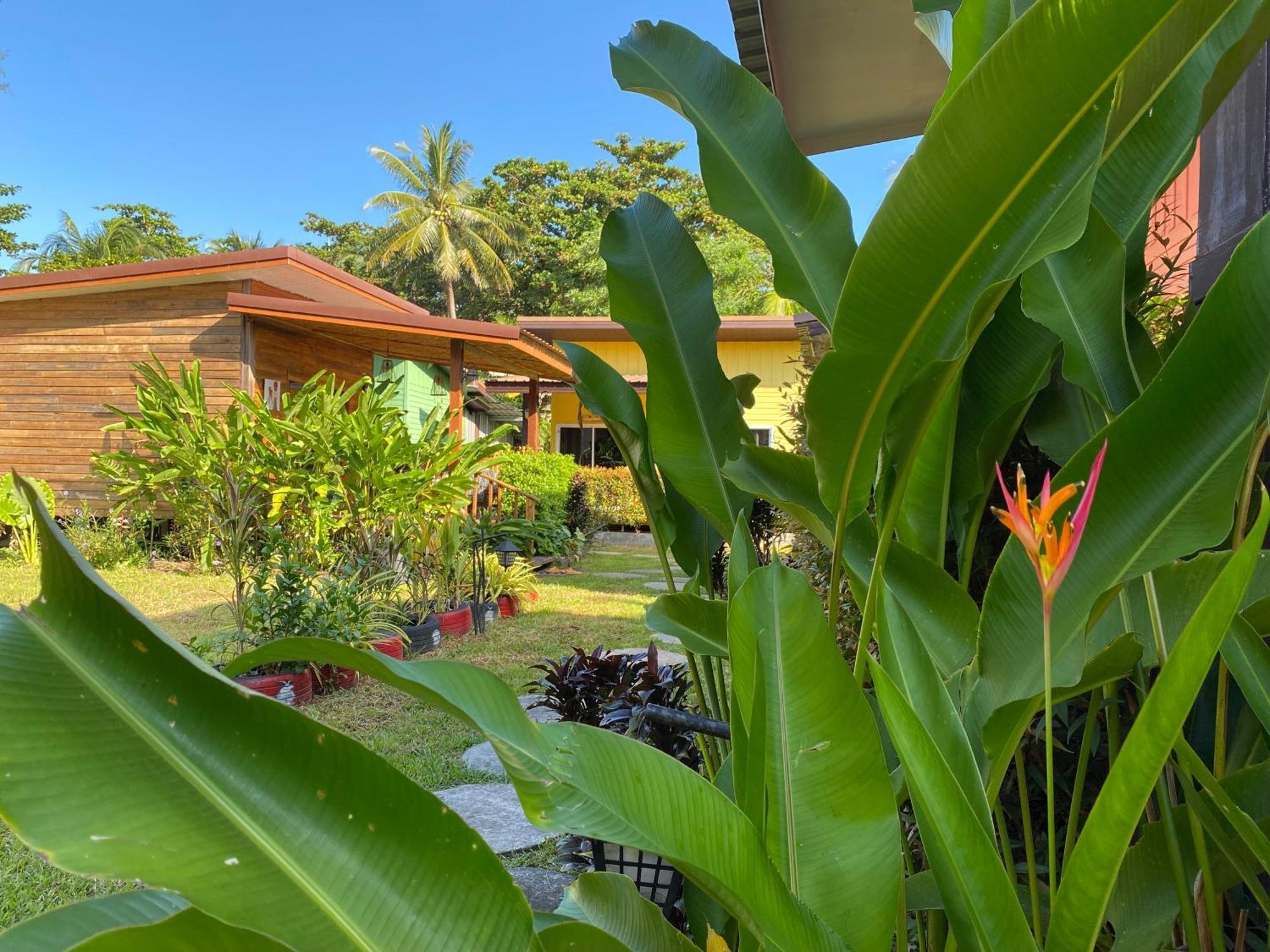 Coconut Lanta Resort @Klong Dow Beach Krabi town المظهر الخارجي الصورة